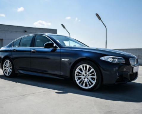 Car gas struts