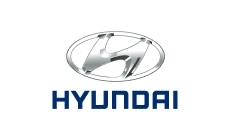 Hyundai gas struts