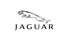 Jaguar gas struts