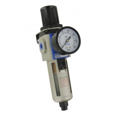 1/4" BSP Filter Reg