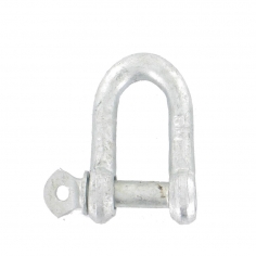 1/4" "D" Shackles