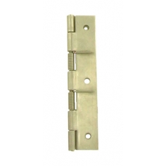 Spring Hinge