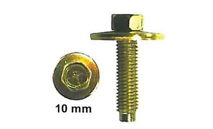 Hex Bolt with Washer Gold M6